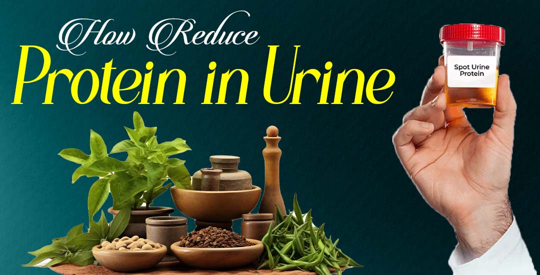 How to Reduce Protein in Urine?